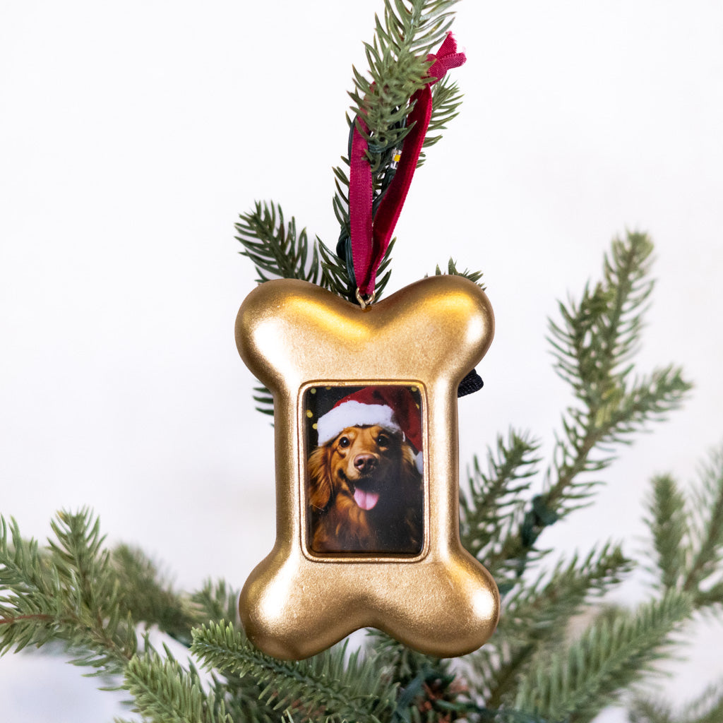 Gold Dog Bone Frame Ornament