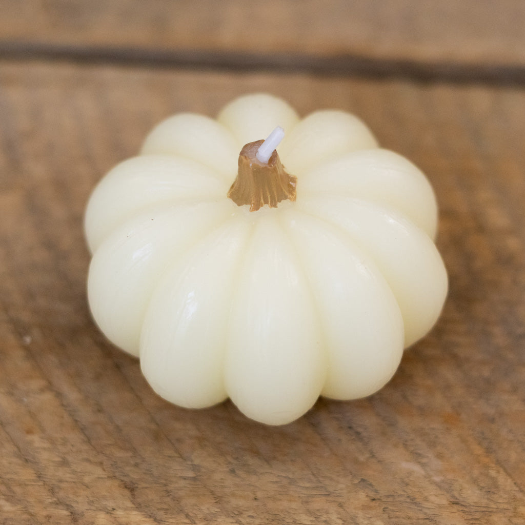 Pumpkin Candle Boxed Set of Two