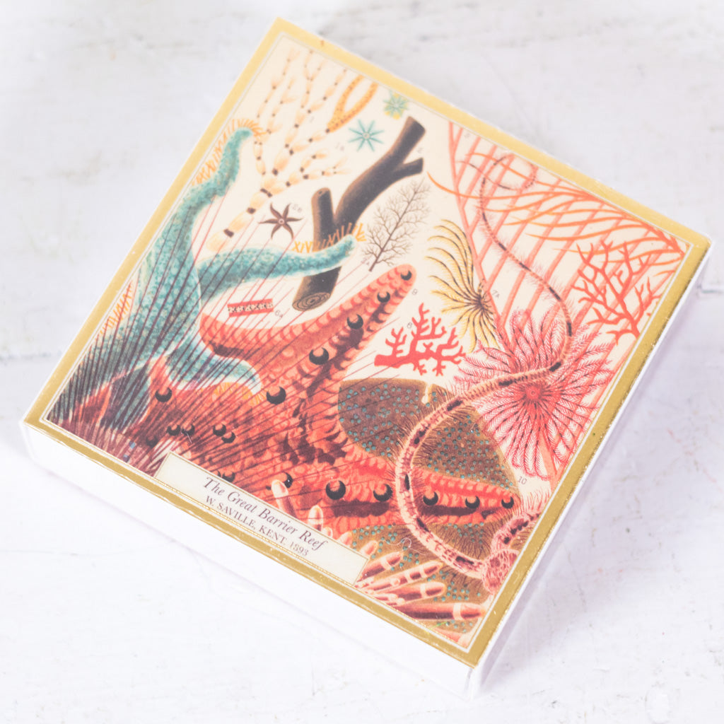 Natural History Museum Great Barrier Reef Match Box of Matches