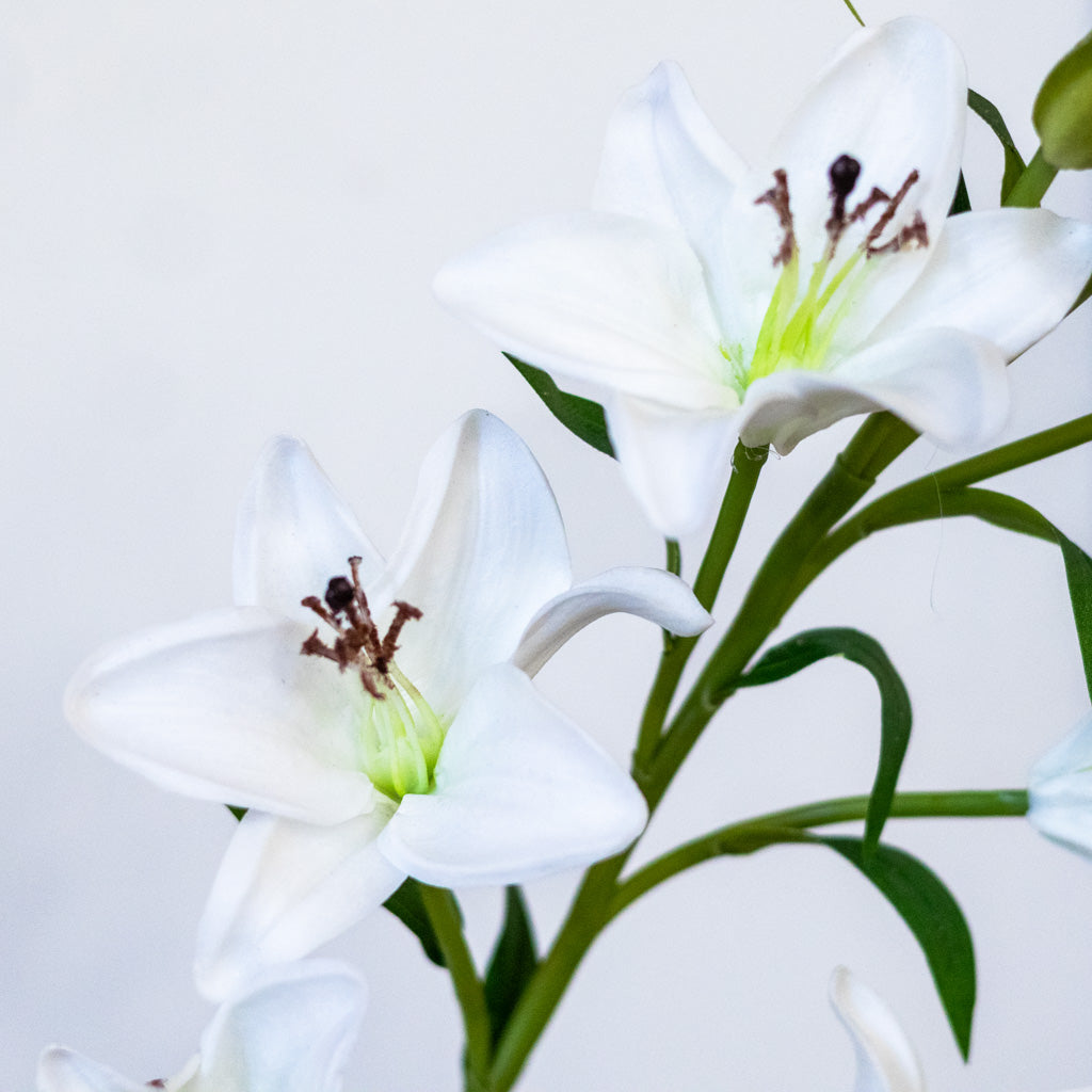 White Lily with Five Blooms and Three Buds Stem