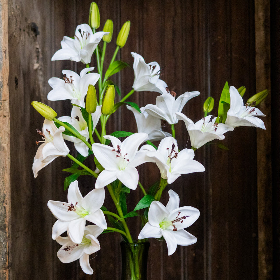 White Lily with Five Blooms and Three Buds Stem