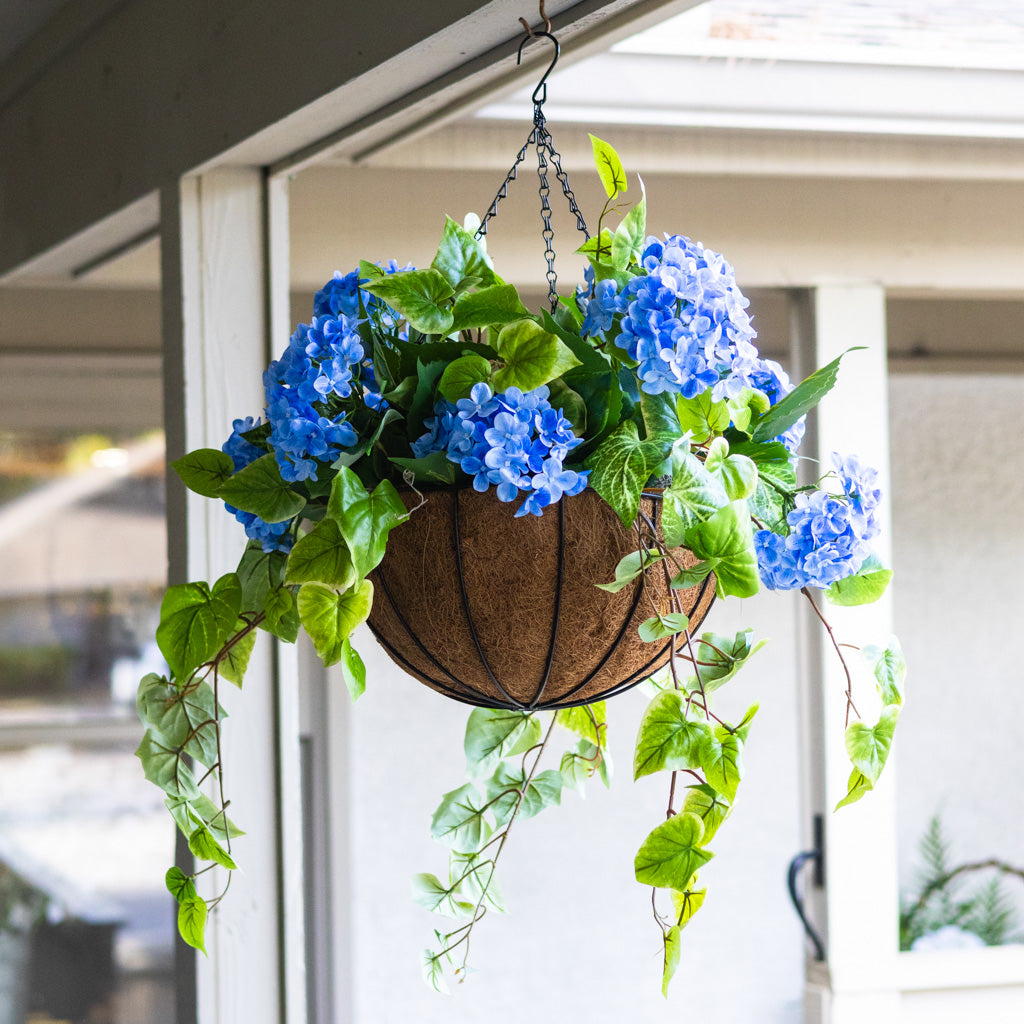 Blue Hydrangea Hanging Basket
