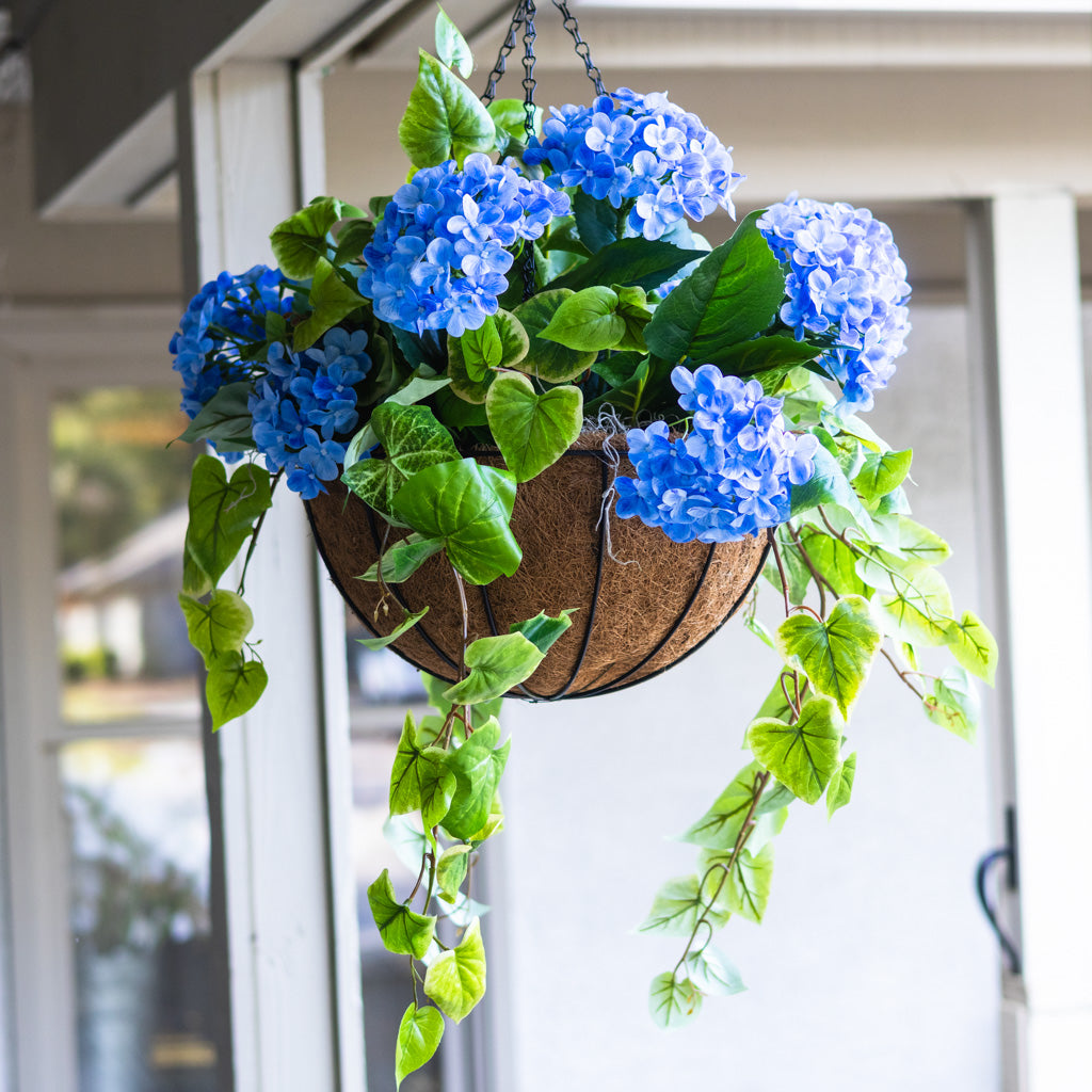 Blue Hydrangea Hanging Basket