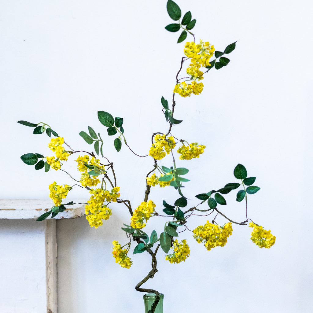 Yellow Blossom Branch