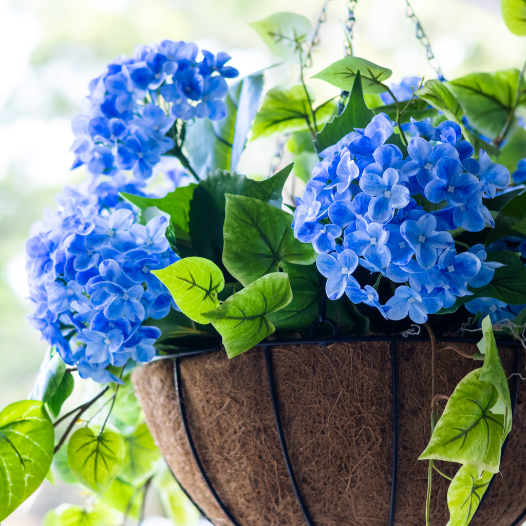 Blue Hydrangea Hanging Basket