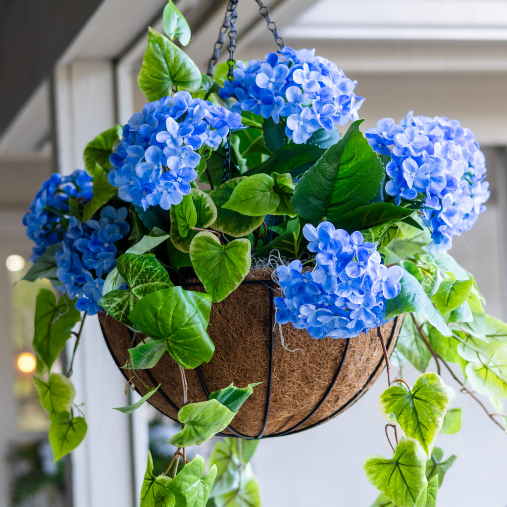 Blue Hydrangea Hanging Basket