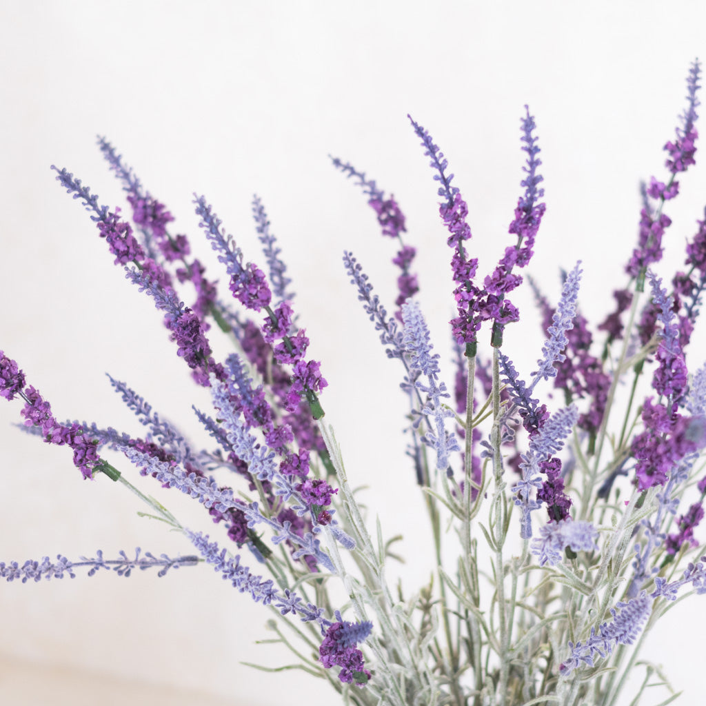 Lavender Potted Drop-In in Moss Pot