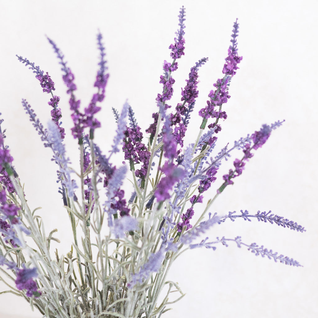 Lavender Potted Drop-In in Moss Pot