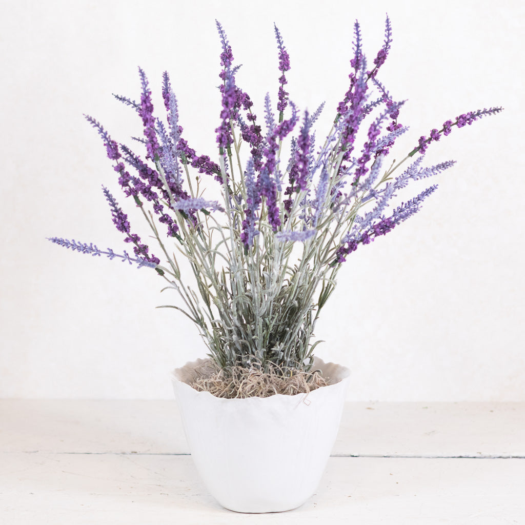 Lavender Potted Drop-In in Moss Pot