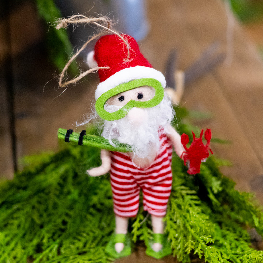 Beach Snorkeling Santa