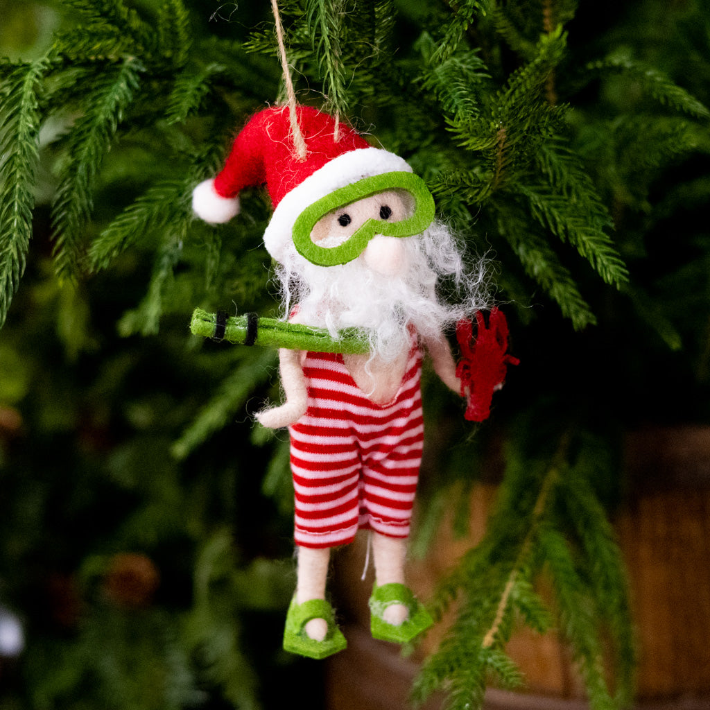 Beach Snorkeling Santa