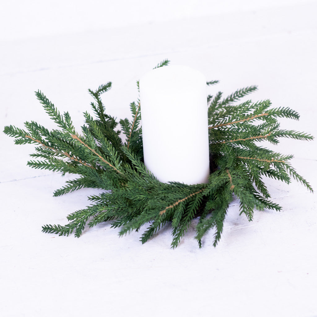 Norfolk Pine Wreath Small