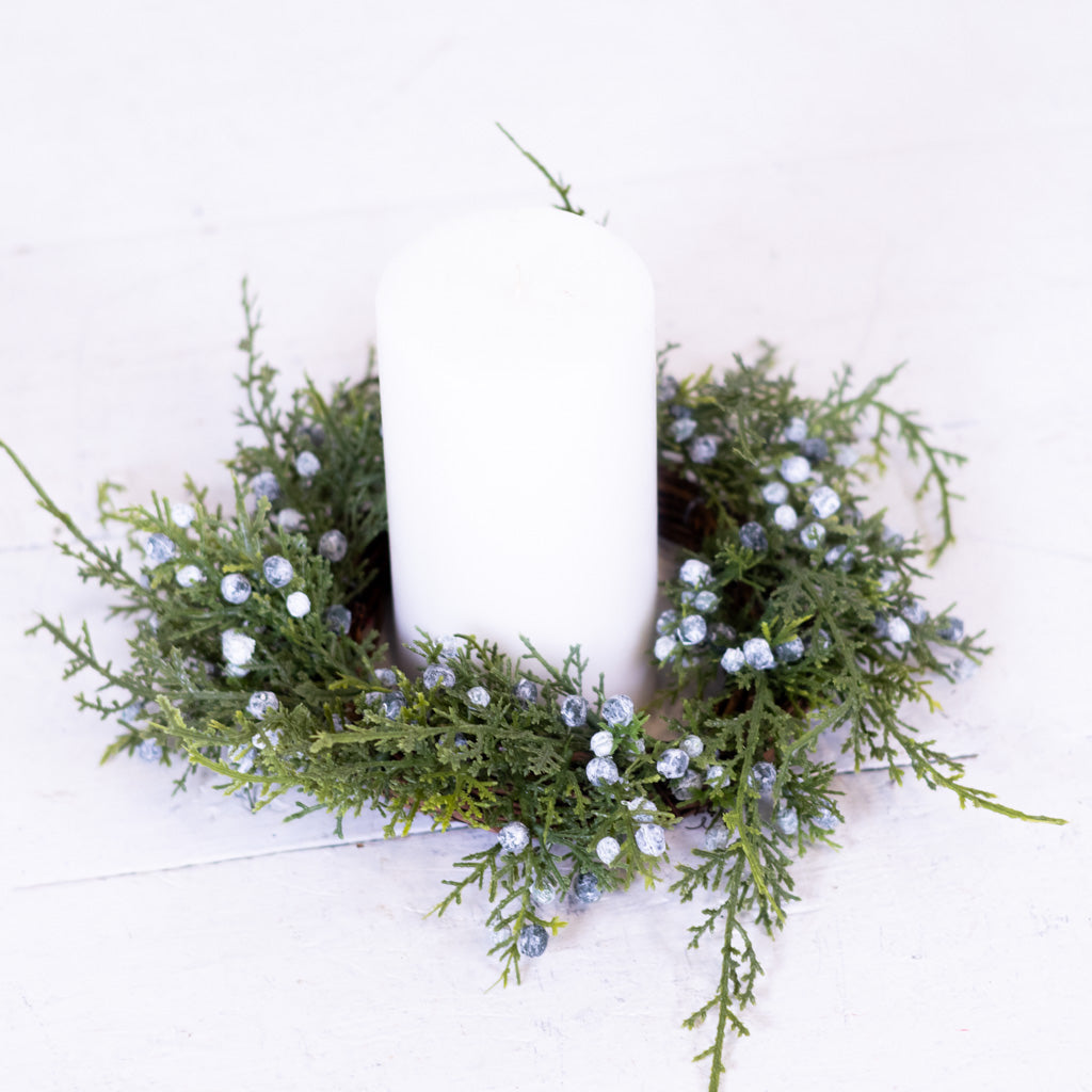 8"D Seeding Juniper Wreath