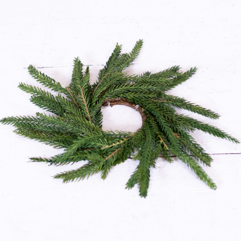 Norfolk Pine Wreath Extra Small