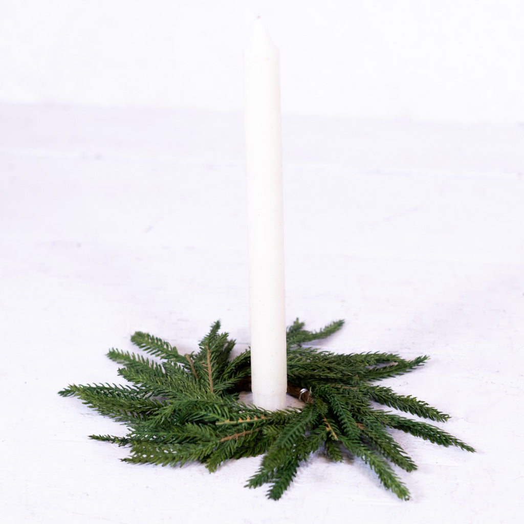Norfolk Pine Wreath Extra Small