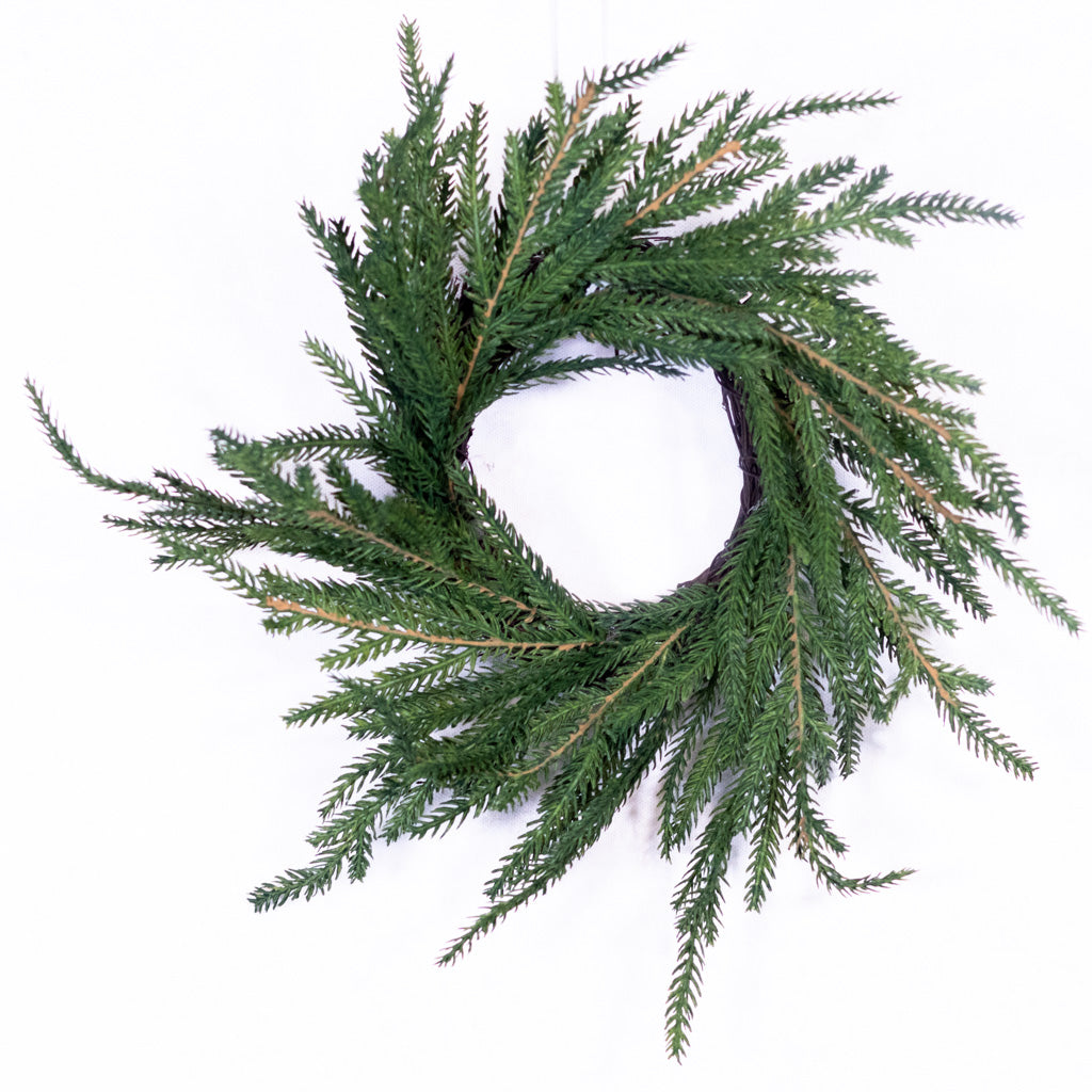 Norfolk Pine Wreath Small