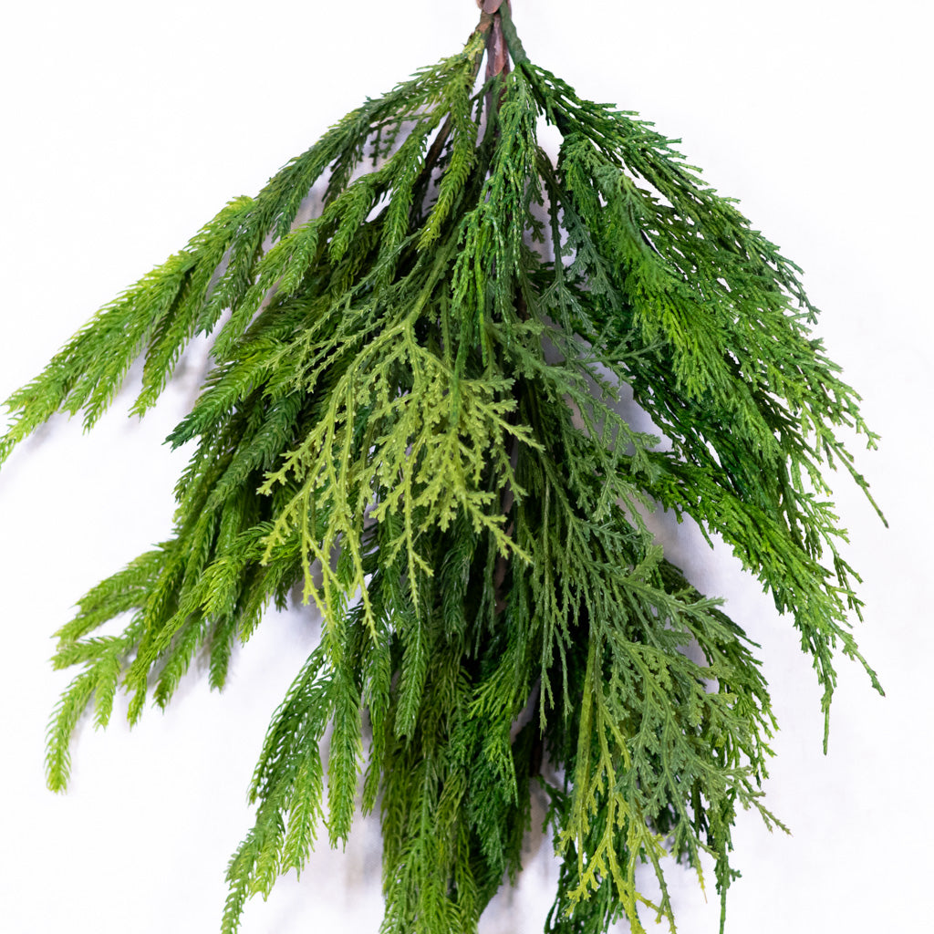 Woodland Pine Bundle