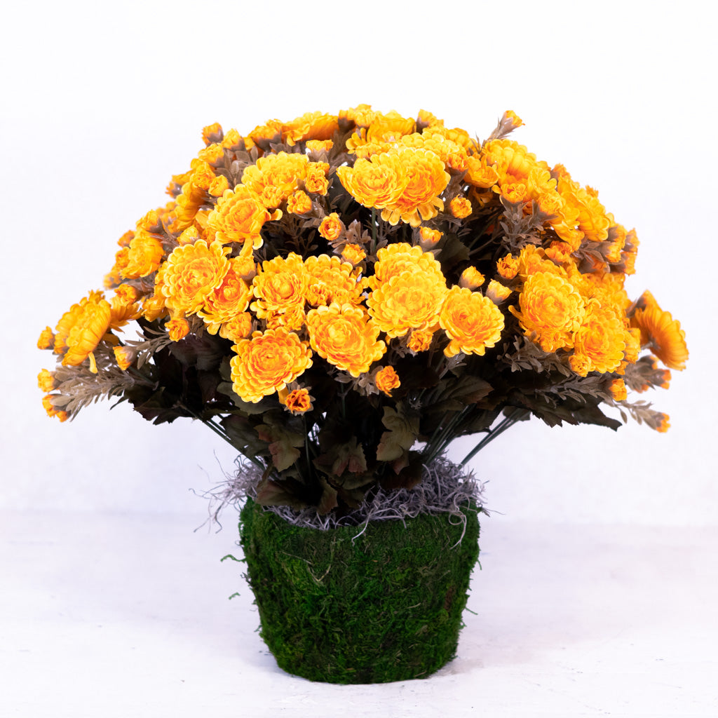 Mum Double Drop In Gold Yellow