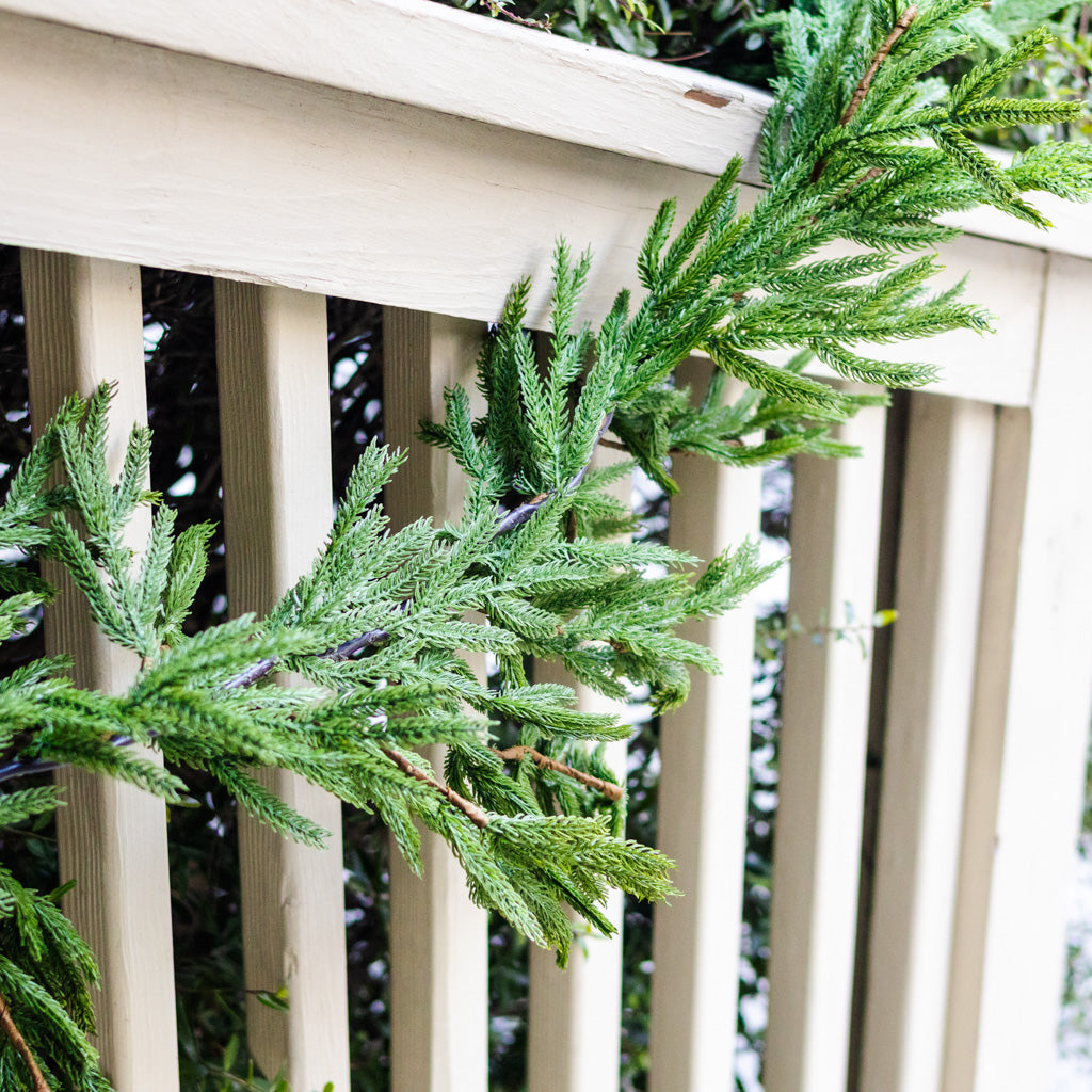 5.5 ft. Norfolk Pine Garland