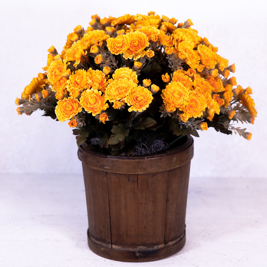 Mum Double Drop In Gold Yellow