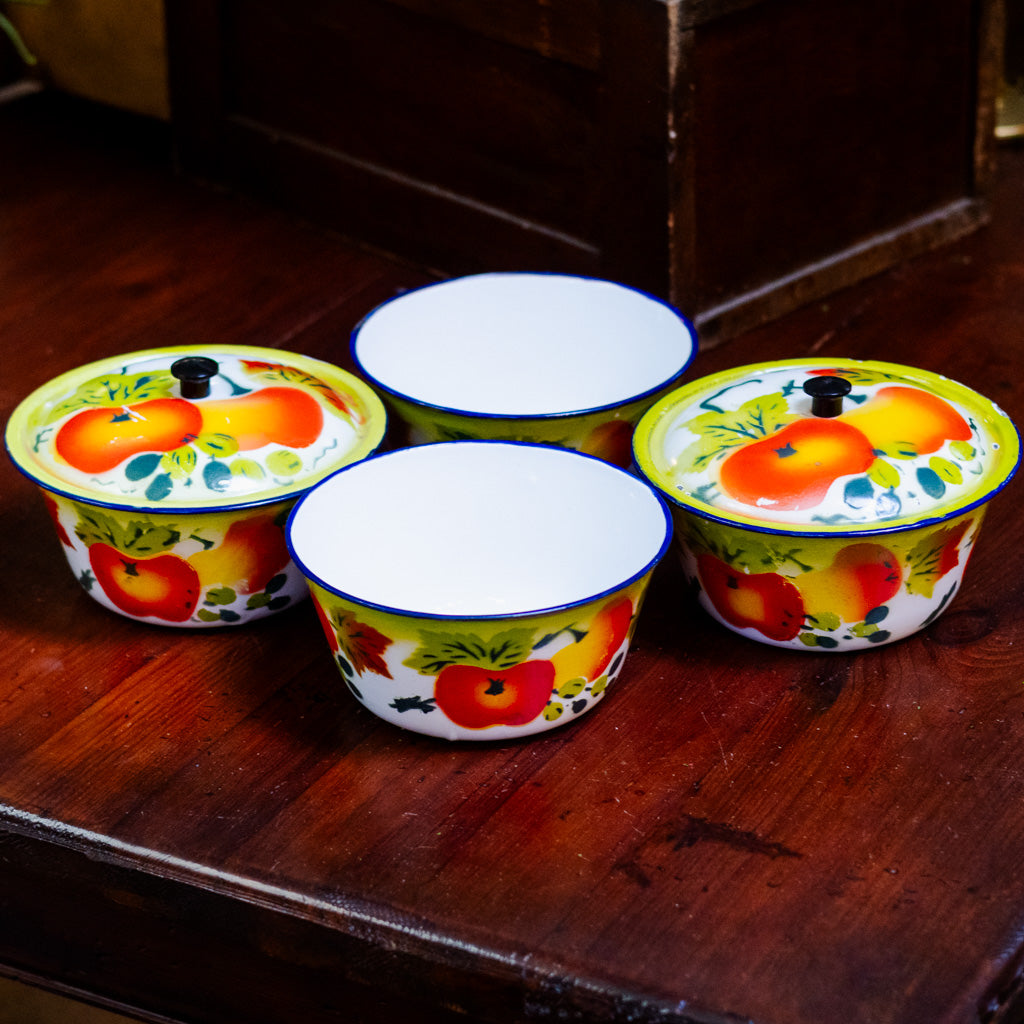 1950's Vintage Enamel Bowls with Lids Set of Two