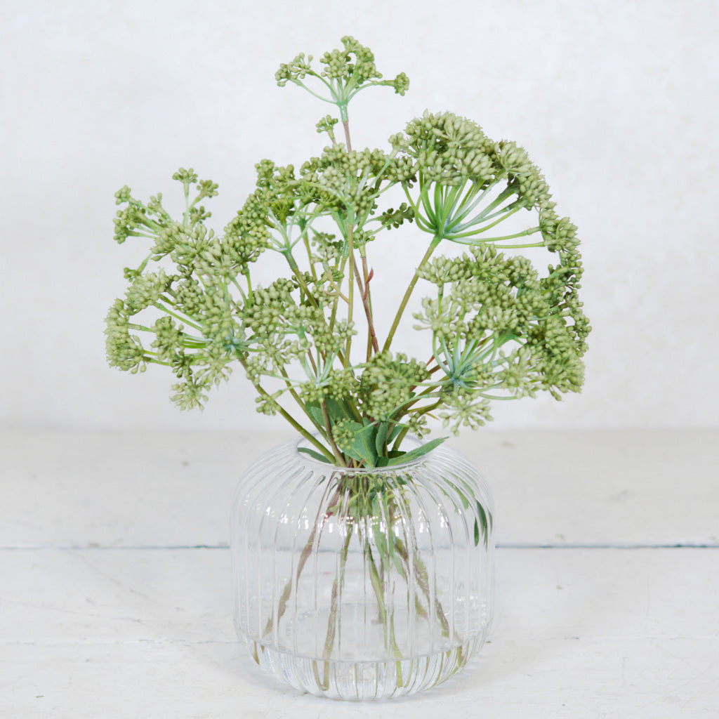 Angelica in Glass Vase