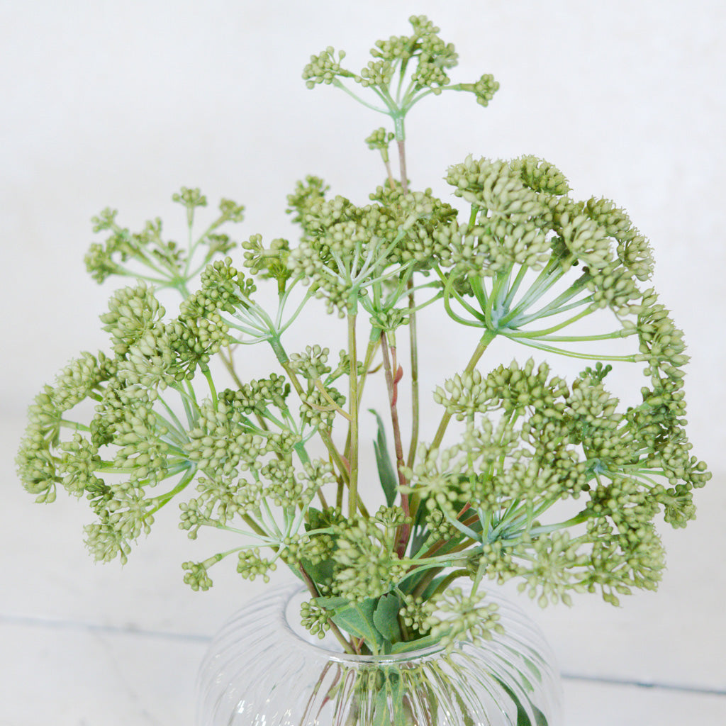 Angelica in Glass Vase