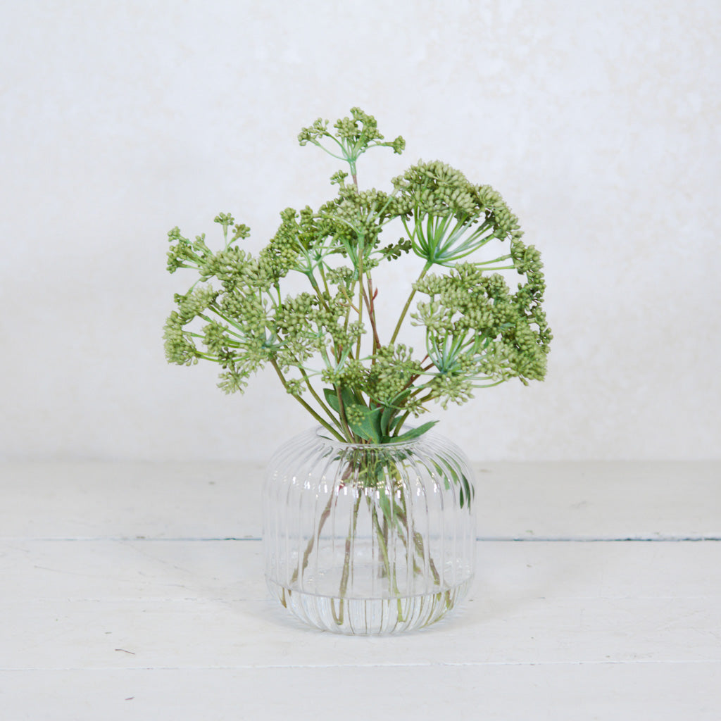 Angelica in Glass Vase