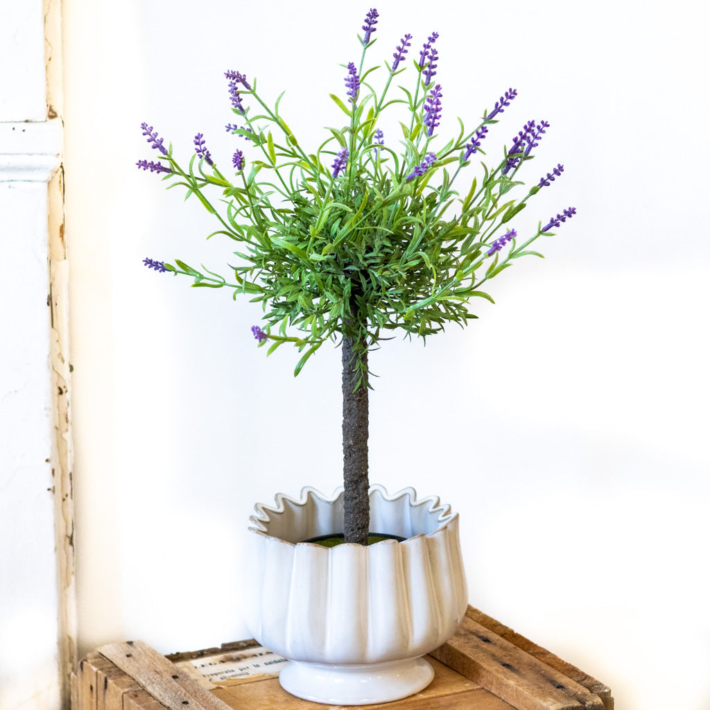 Single Purple Lavender Topiary