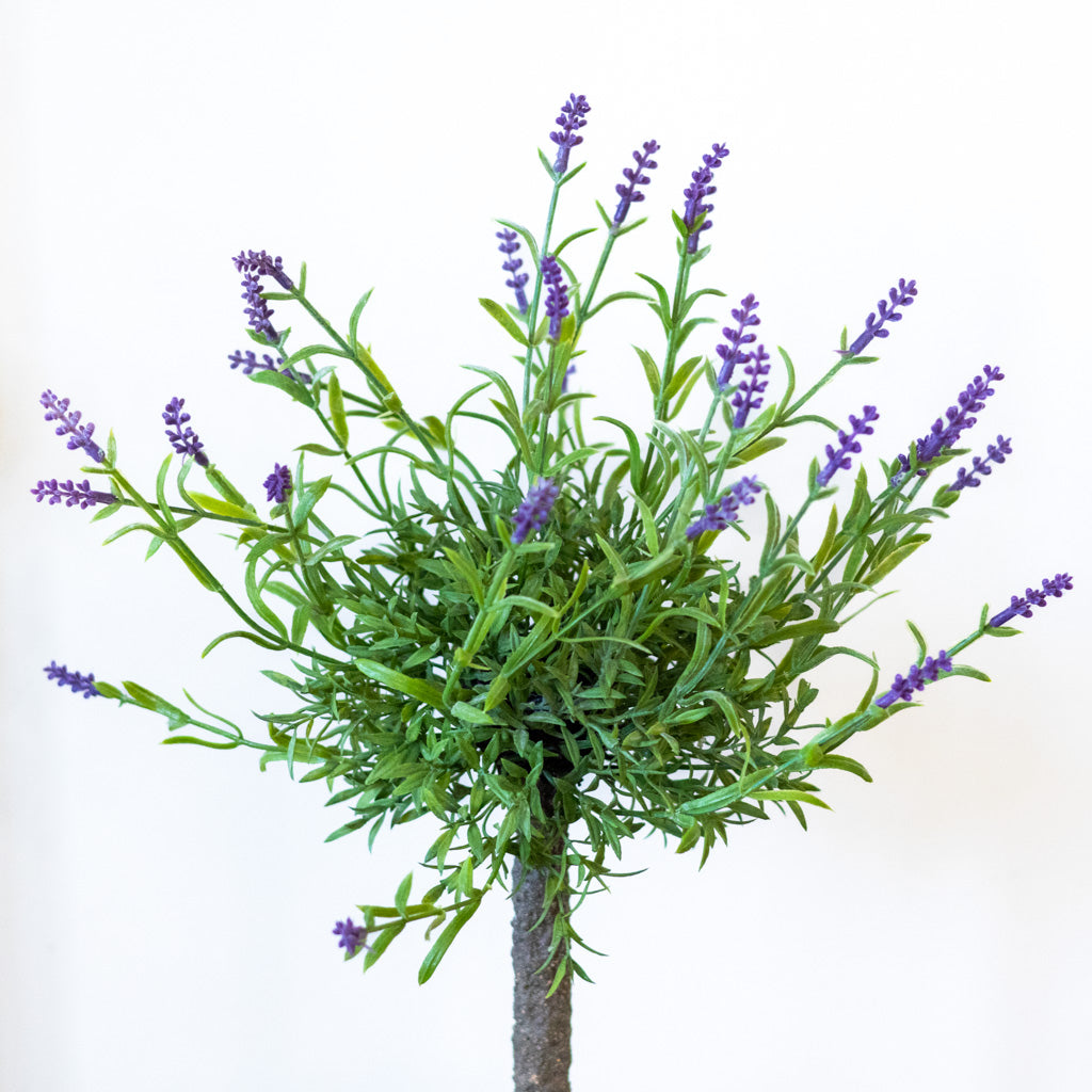 Single Purple Lavender Topiary