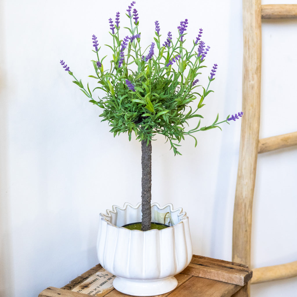 Single Purple Lavender Topiary