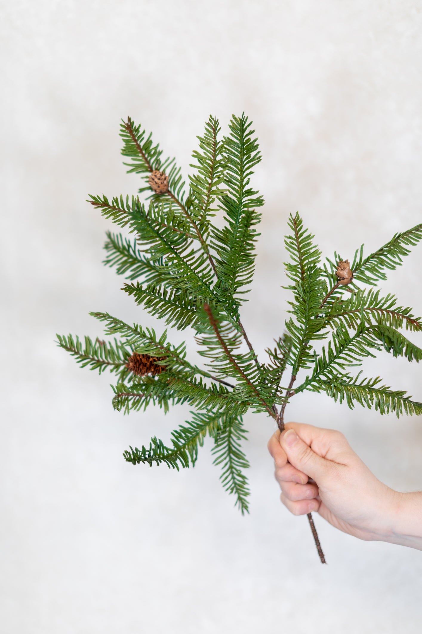 Hemlock with Pinecones Pick