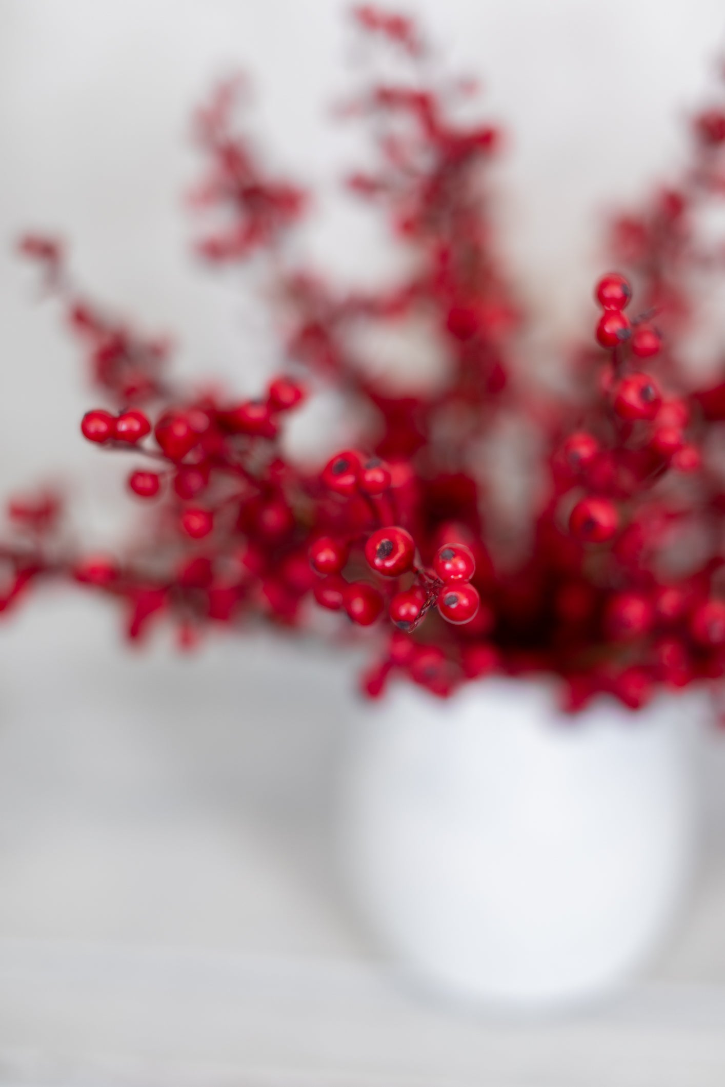 Berry Bush Red - Indoor Use Only