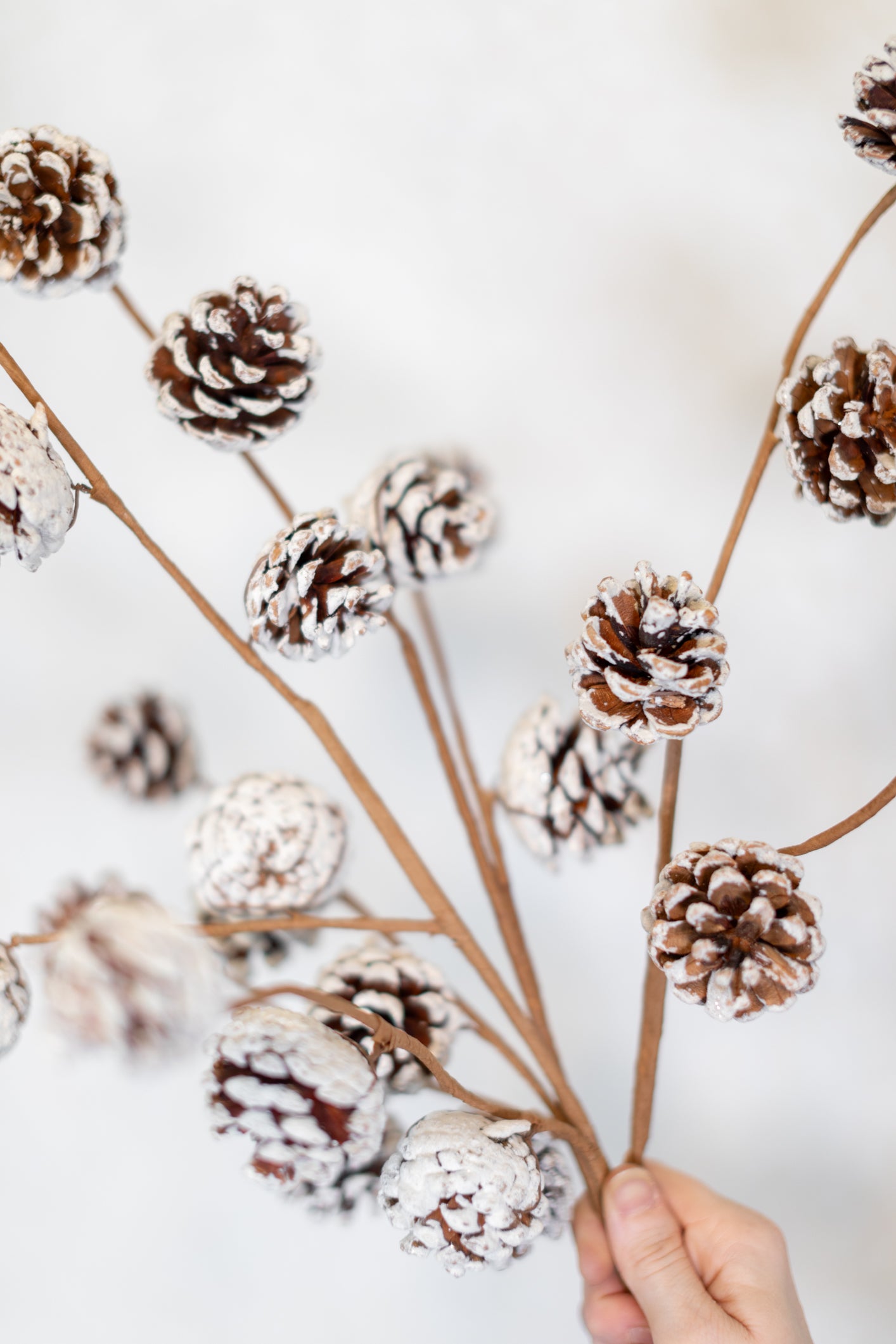 Frosted Pine Cone Spray