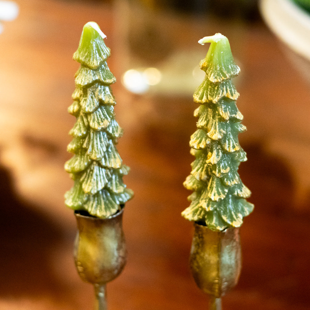 Unscented Green Tree Candle Box of Two Short