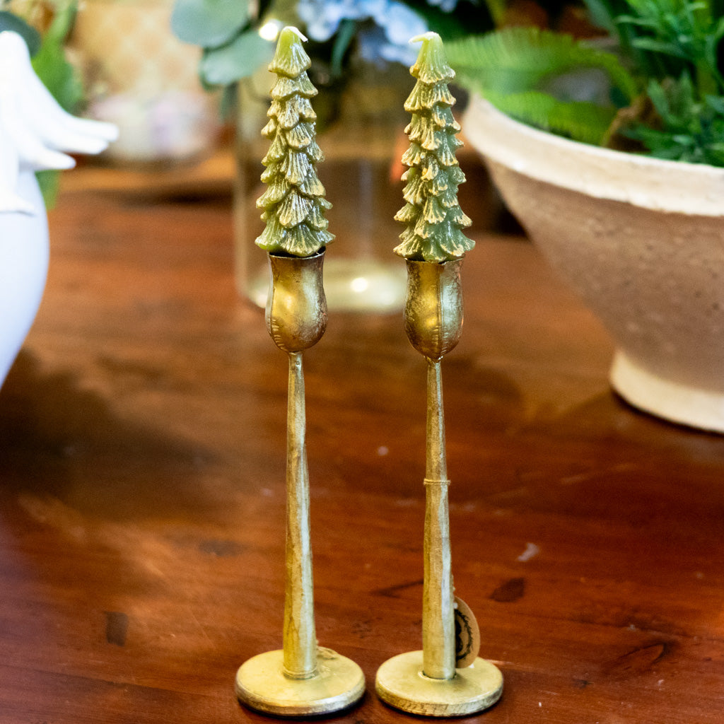 Unscented Green Tree Candle Box of Two Short