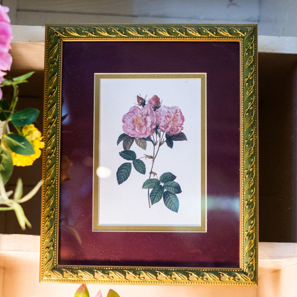 Botanical Double Rose Print