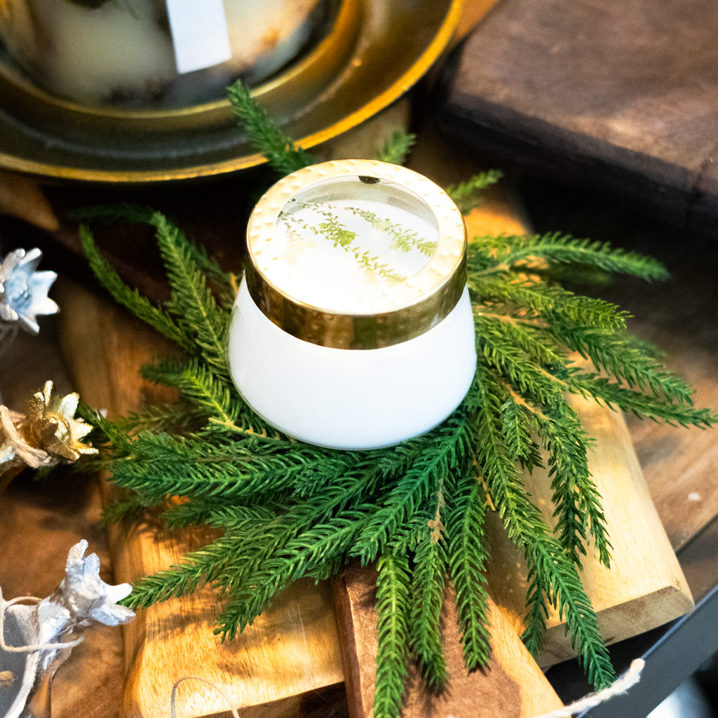Norfolk Pine Wreath Extra Small
