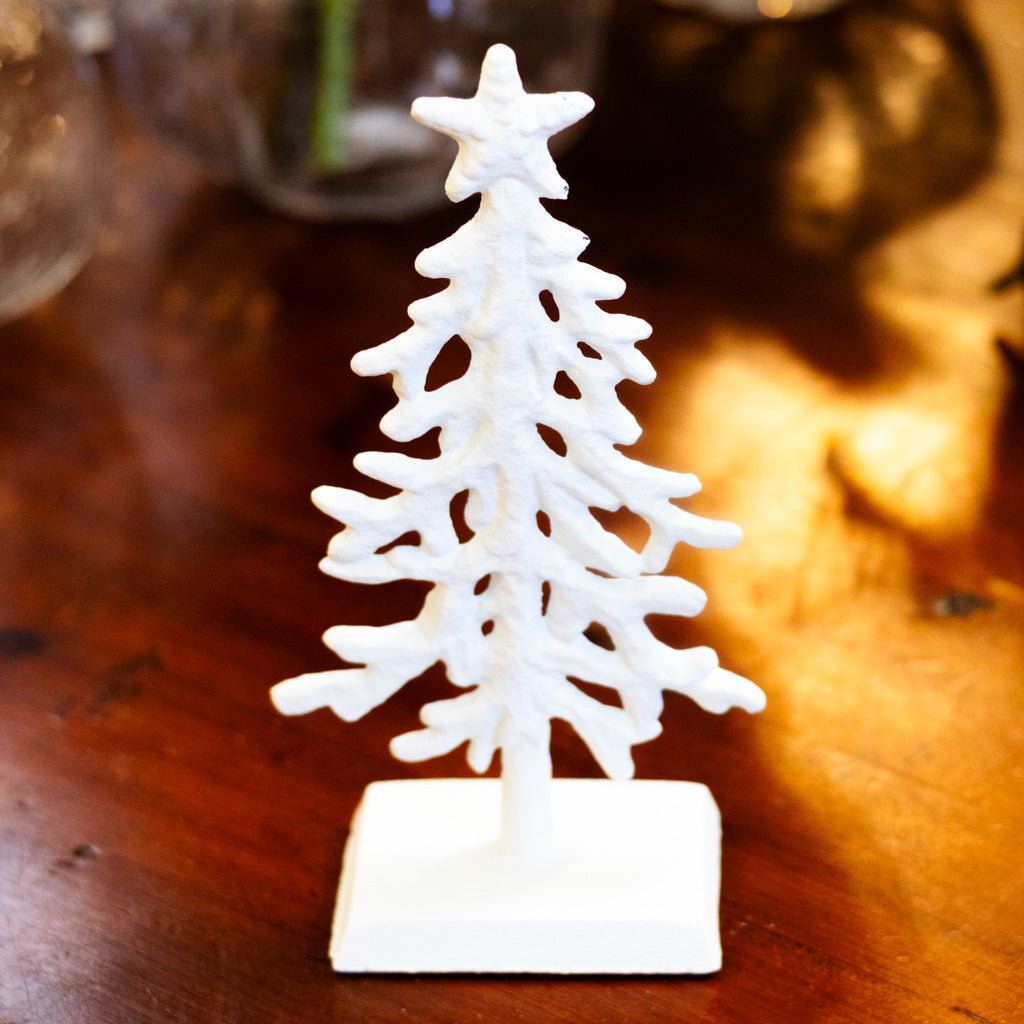 White Coral Tree Short