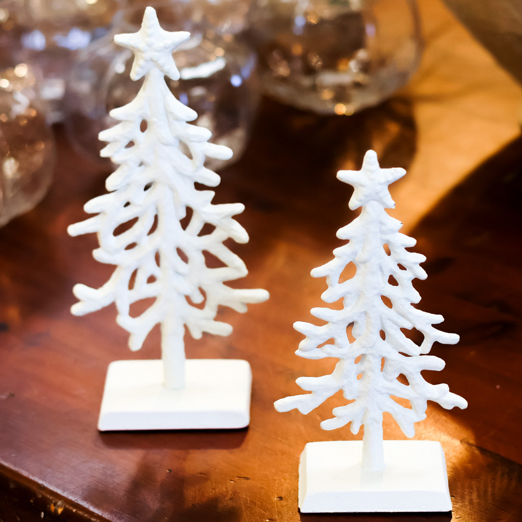 White Coral Tree Short
