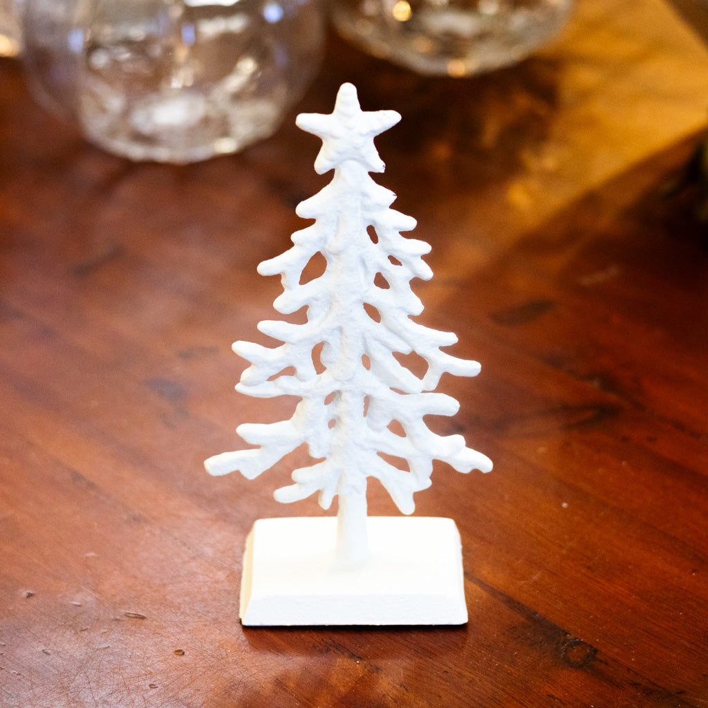 White Coral Tree Short