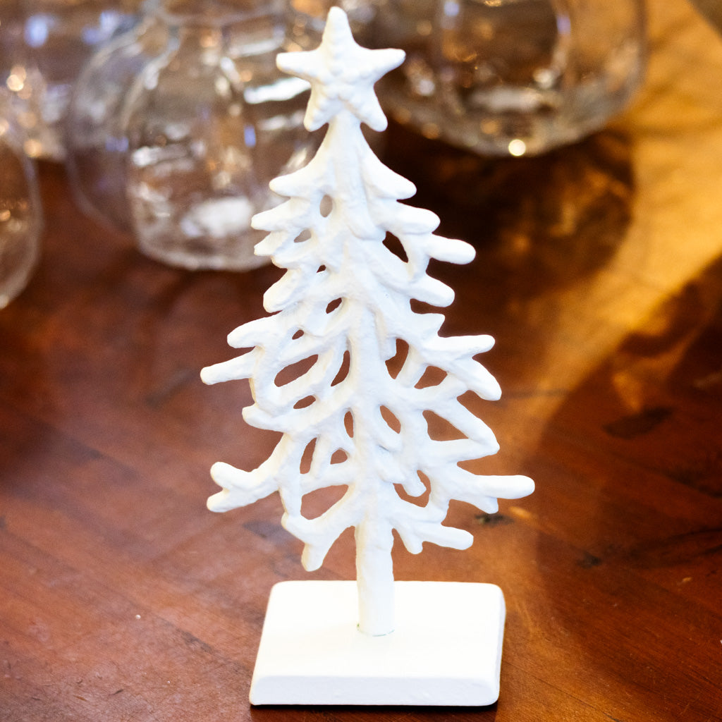White Coral Tree Tall
