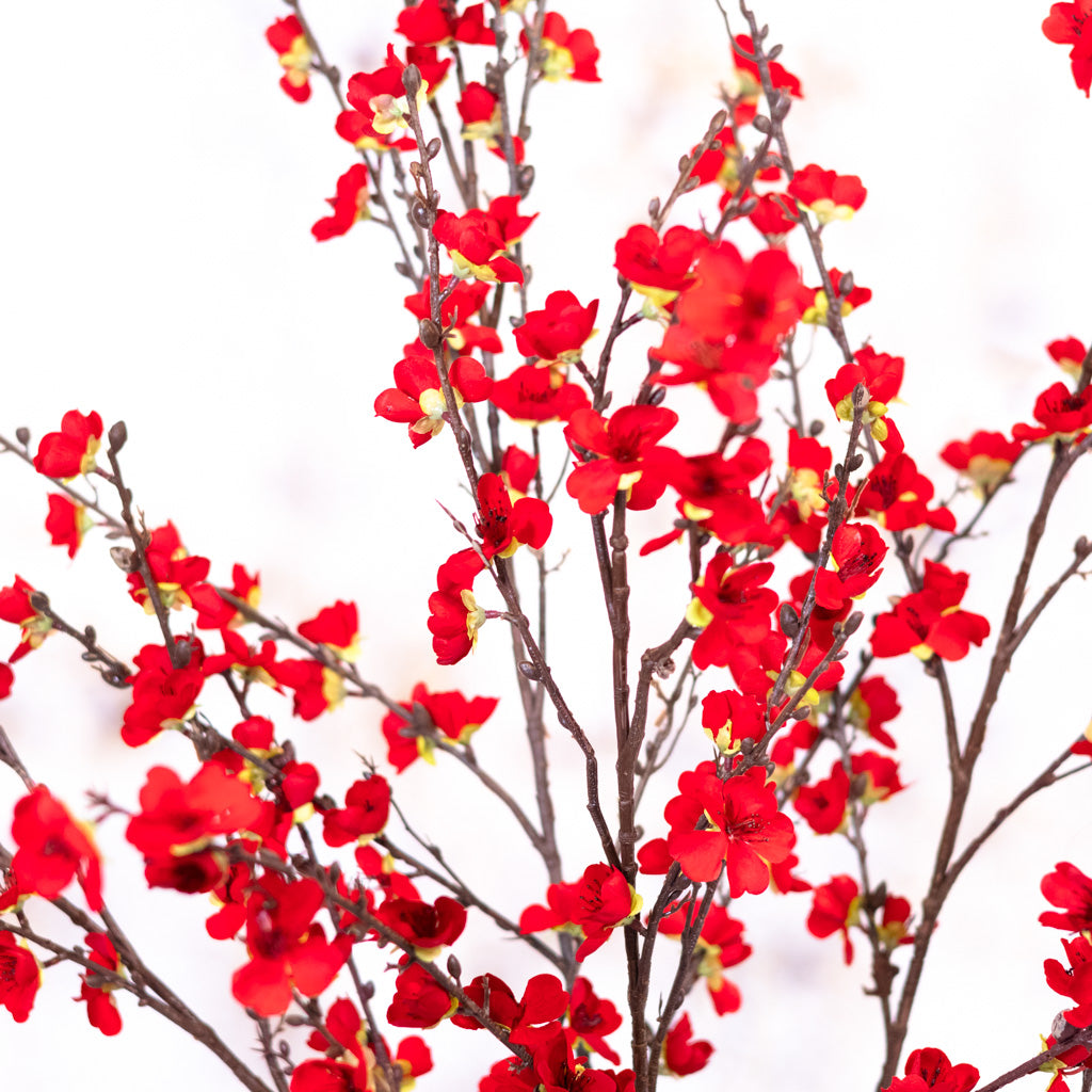 Plum Red Blossom Spray