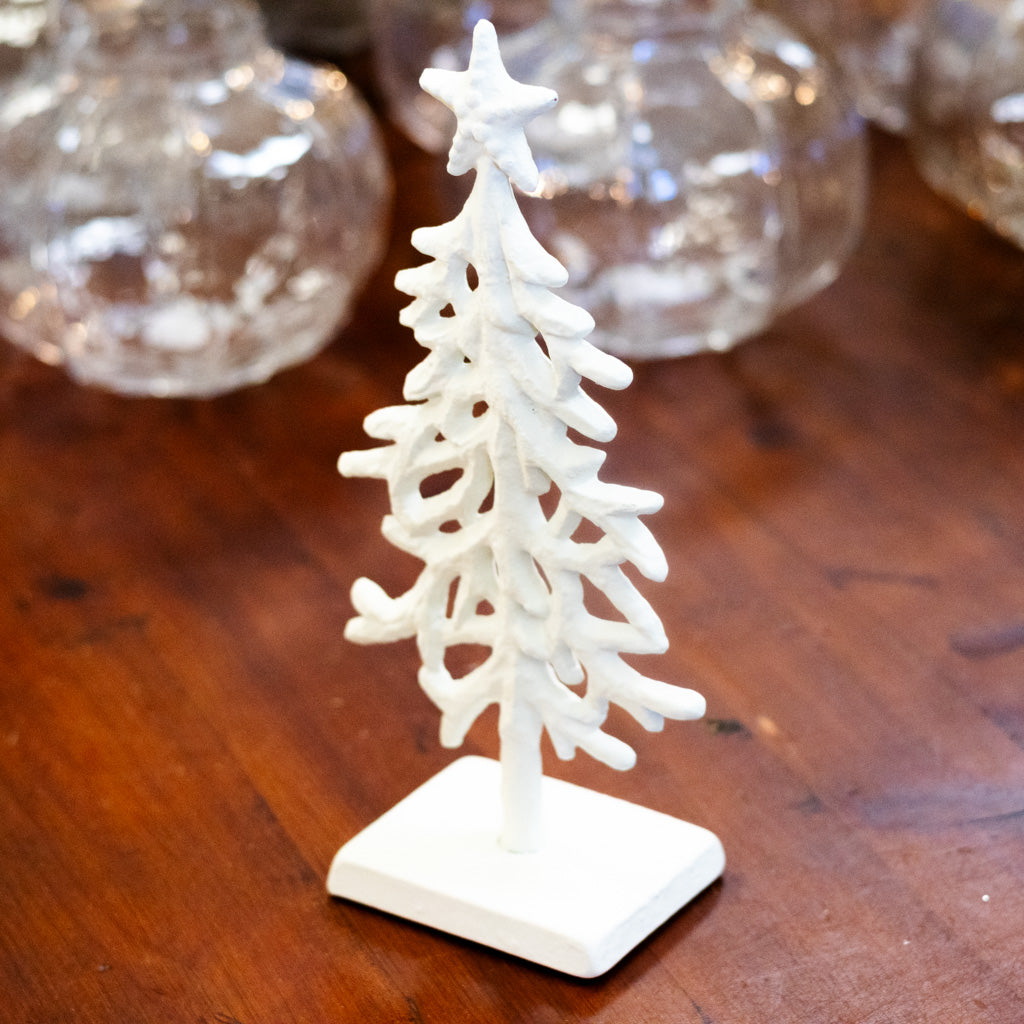 White Coral Tree Tall