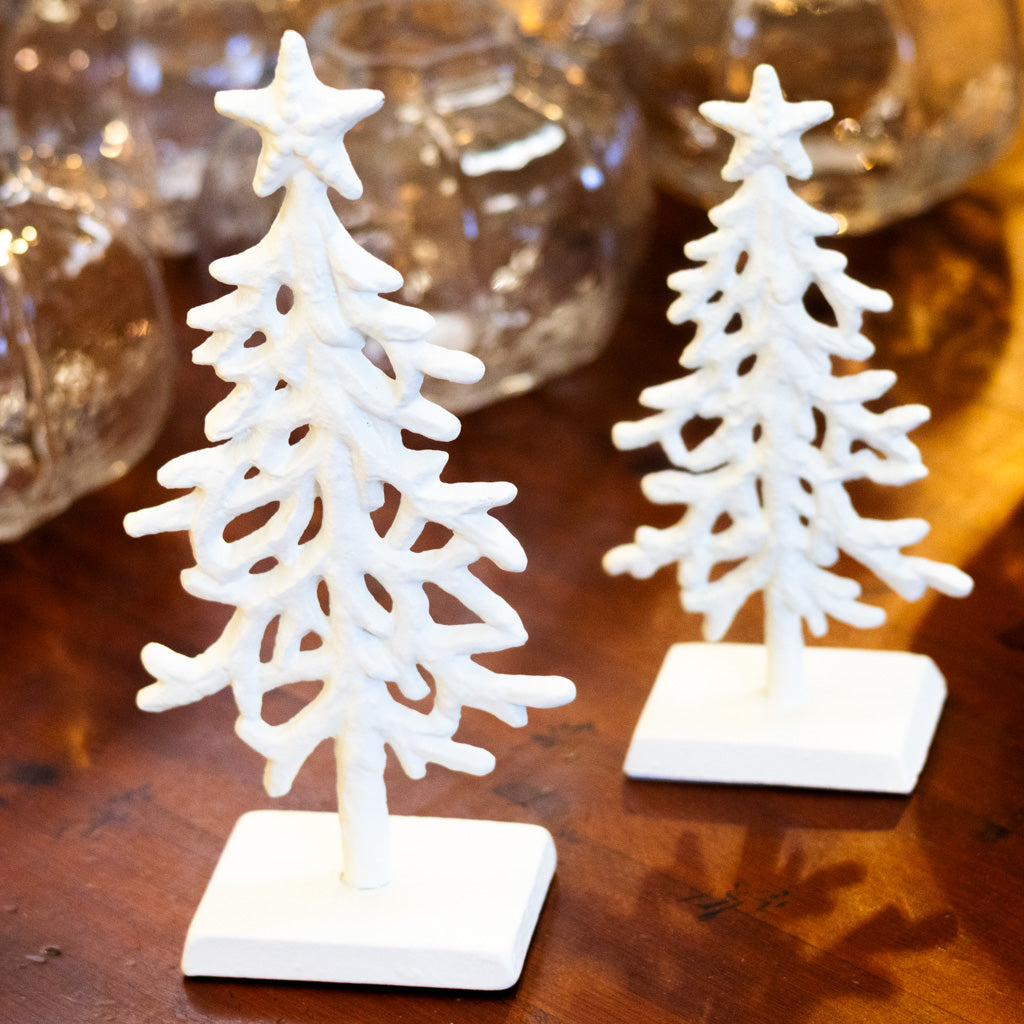 White Coral Tree Tall