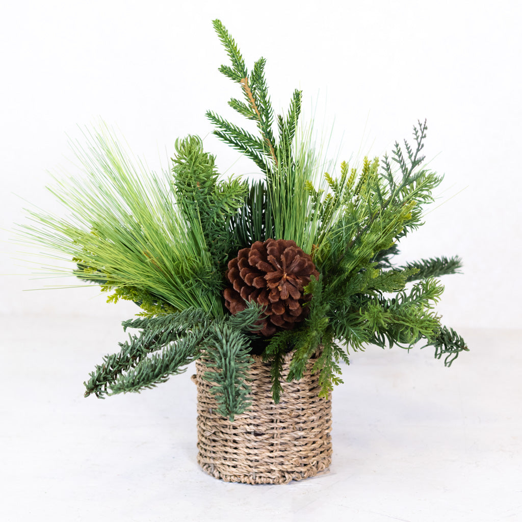 Mixed Pine with Pinecones in Woven Basket