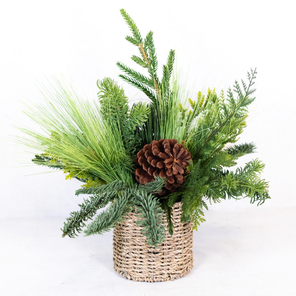 Mixed Pine with Pinecones in Woven Basket
