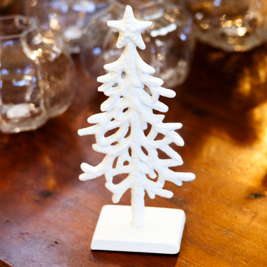 White Coral Tree Tall