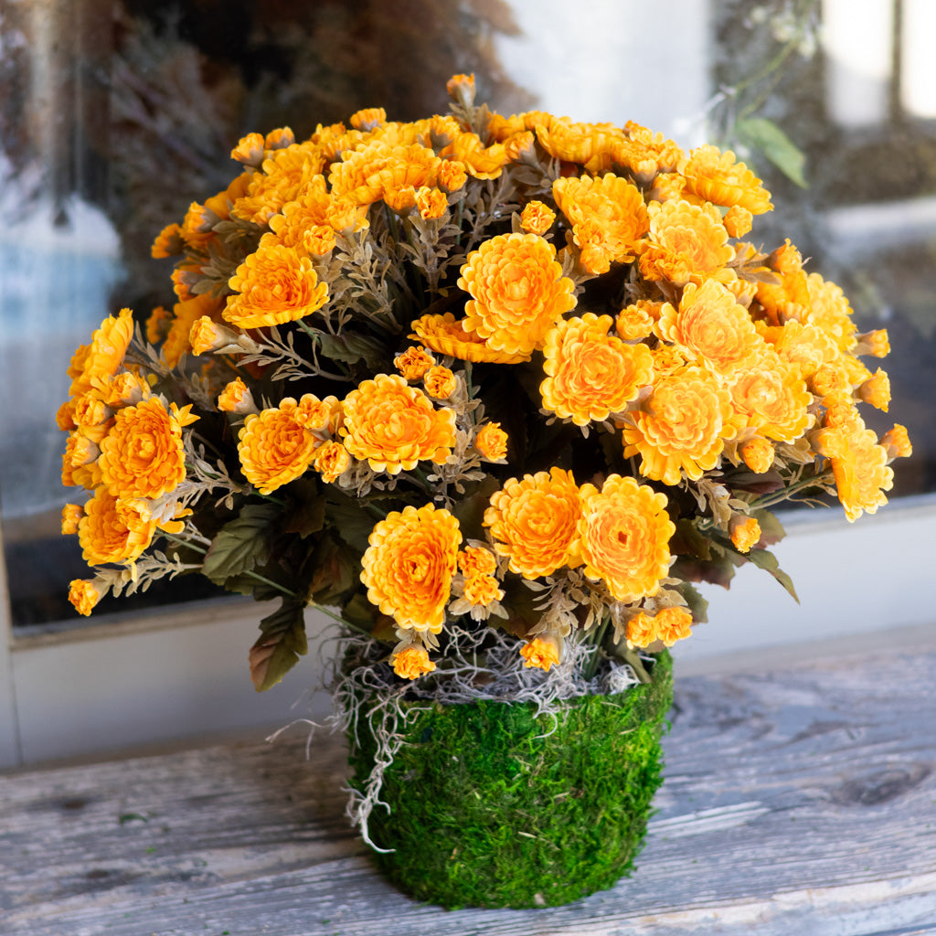 Mum Double Drop In Gold Yellow