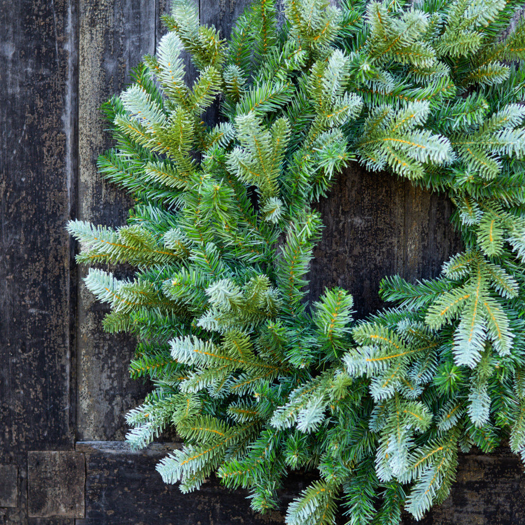 24" Blue Spruce Wreath